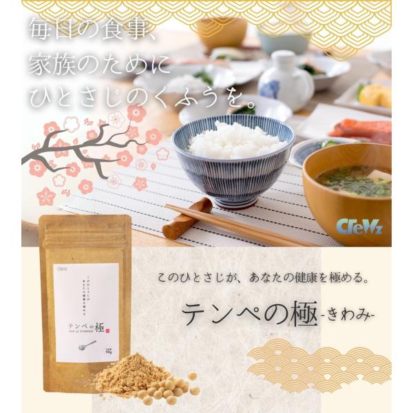 テンペの極（テンペのきわみ）60g 発酵発芽大豆 テンペ粉末 無添加