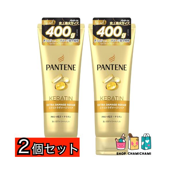 2個セット　パンテーン 洗い流すトリートメント 400g 超特大 エクストラダメージリペア
