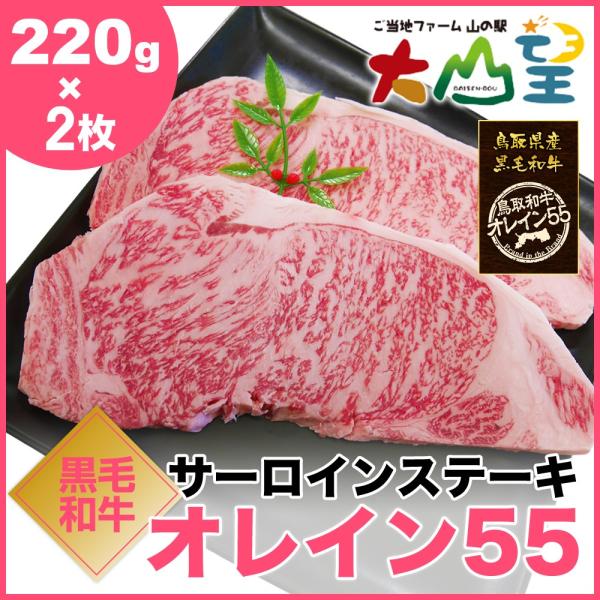 鳥取和牛オレイン55 サーロインステーキ 220g×2枚