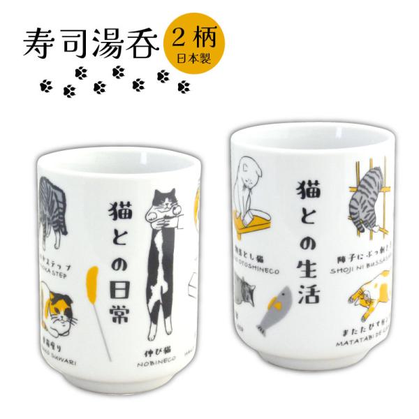 陶器 湯呑 280ml 猫との日常 猫との生活 美濃焼 日本製 マルサン近藤 箱入り 電子レンジOK 食器洗浄機OK ネコ