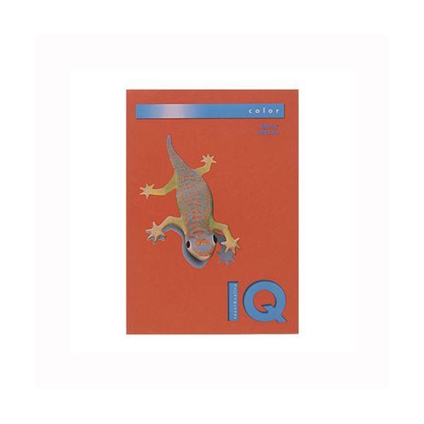 i܂Ƃ߁j ɓ oCIgbvJ[ A4 500 80g^m2 BT519 ubNbh k×2Zbgl