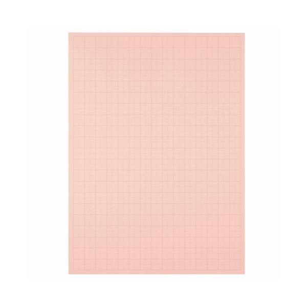 i܂Ƃ߁j TANOSEE ͑iv^Cvj { 788×1085mm 50mm sN 1P[Xi20j k×5Zbgl