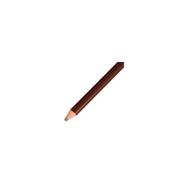(業務用50セット) トンボ鉛筆 色鉛筆 単色 12本入 1500-31 茶