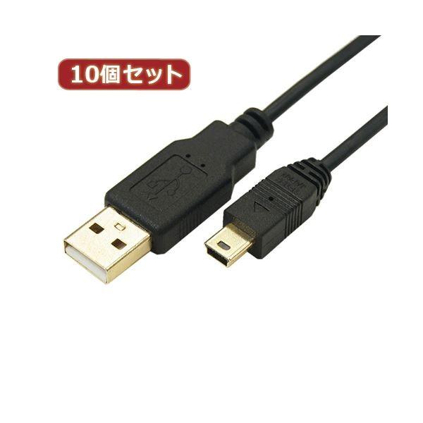�ϊ����l 10�Z�b�g �ɍ�USB�P�[�u��A�I�X-mini�I�X 3m USB2A-M5�^CA300X10