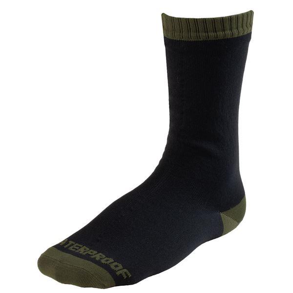 DexShell�i�f�N�V�F���j SOCKS �T�[�����C�g �I���[�u�O���[�� M