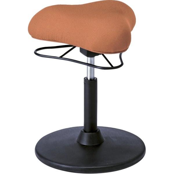 JE^[`FA 41cm LOW^Cv IW X`[ 360x] ~ v|[VXc[ rO _CjOksl