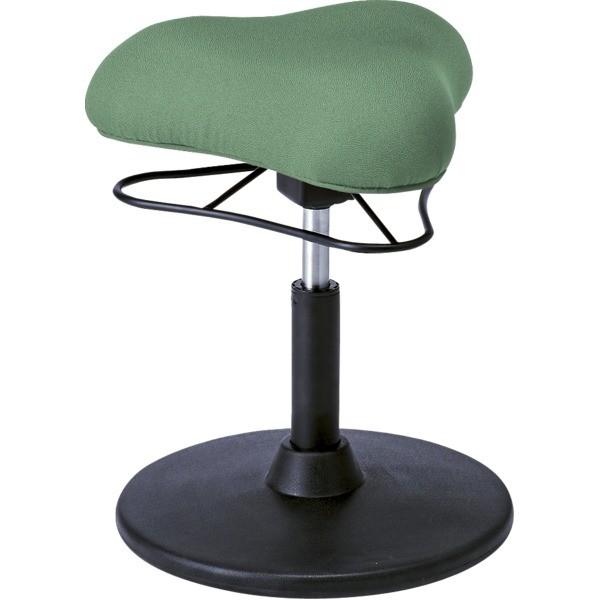 JE^[`FA 41cm LOW^Cv O[ X`[ 360x] ~ v|[VXc[ rO _CjOksl