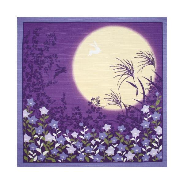 i܂Ƃ߁j}R[ ԌiF C~ Hk×10Zbgl