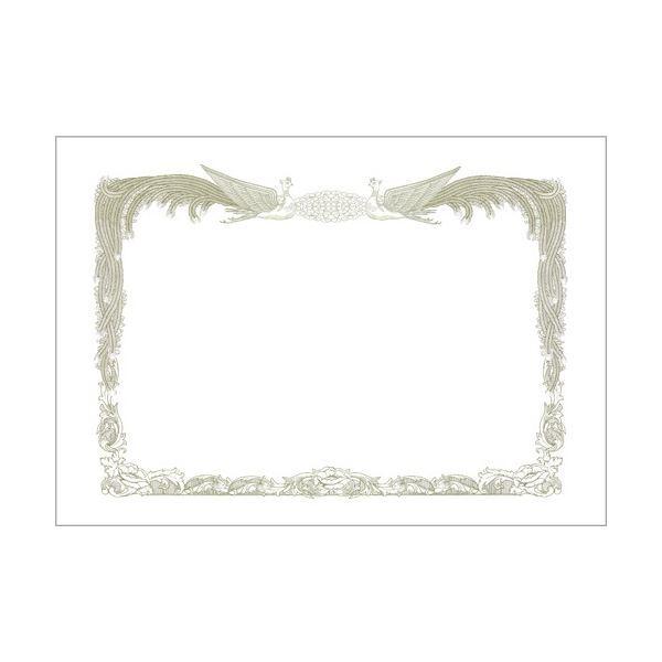 (܂Ƃ) qTS ܏gp A4R CJ170S 1(10) k×5Zbgl