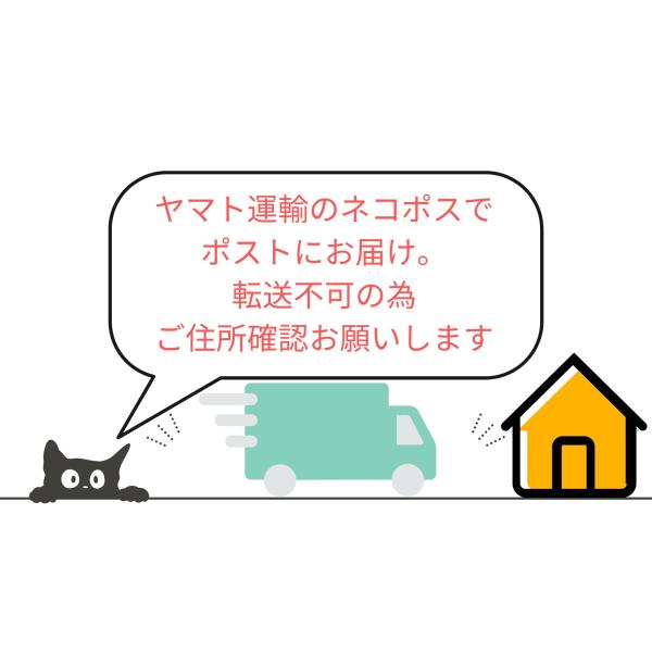 shop-f-y-store_basic-mini_2_d_20251113000654