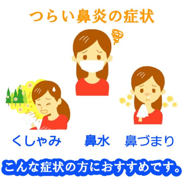 鼻うがい器具 Waterpulse ボトルサイズ ５００ｍｌ 鼻洗浄器 鼻うがい 副鼻腔炎 アレルギー性鼻炎 鼻づまり 蓄膿症 花粉症 風邪 予防 ハウスダスト Buyee Buyee Japanese Proxy Service Buy From Japan Bot Online