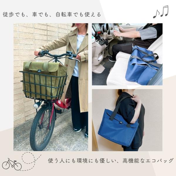 shop-forest_compass1718156697_1_d_20240620141202