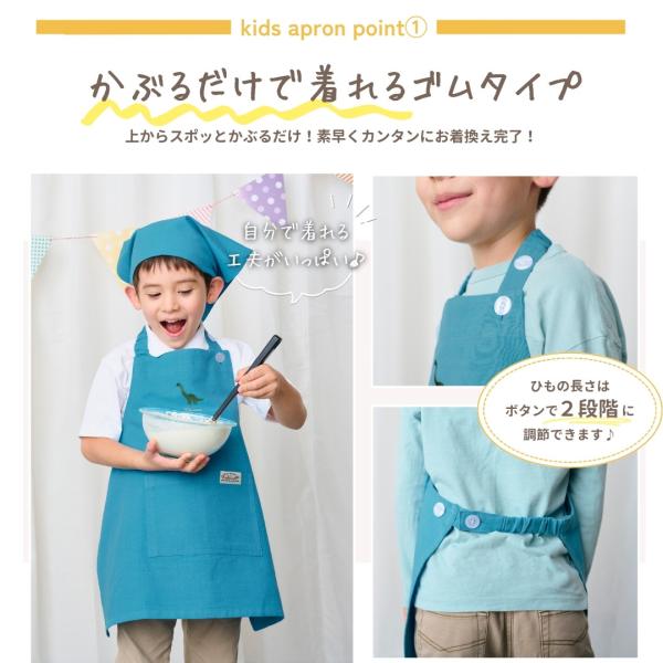 shop-forest_compass1732516925_2_d_20250514120523