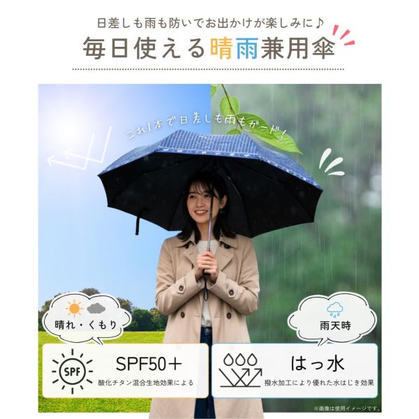 shop-forest_compass1771995928_2_d_20260225152657