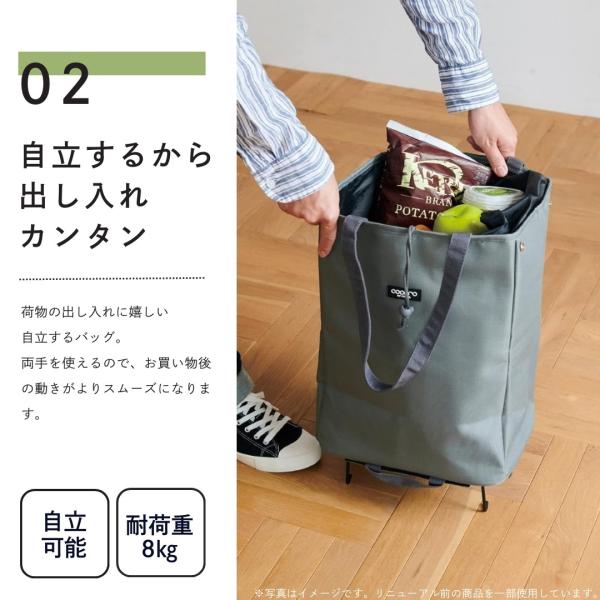 shop-forest_rep-cuire_3_d_20250508161100