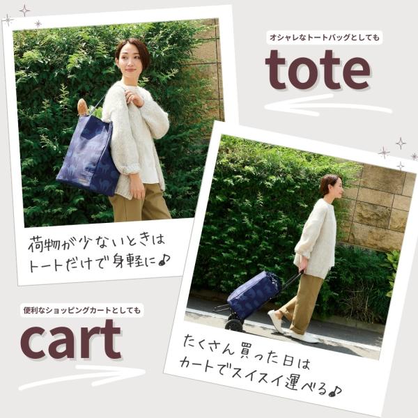 shop-forest_repmao_3_d_20240708172858