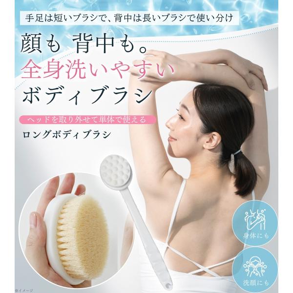 shop-forest_ronnos-6_1_d_20251006112409