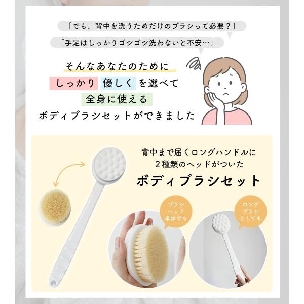 shop-forest_ronnos-6_3_d_20251006112411