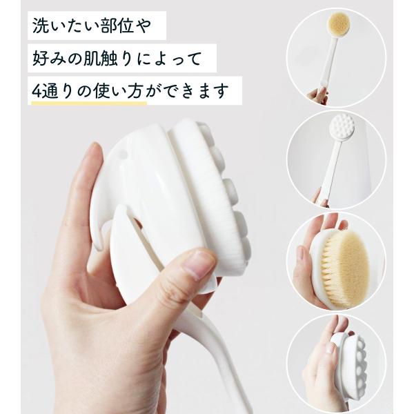 shop-forest_ronnos-6_4_d_20251006112412