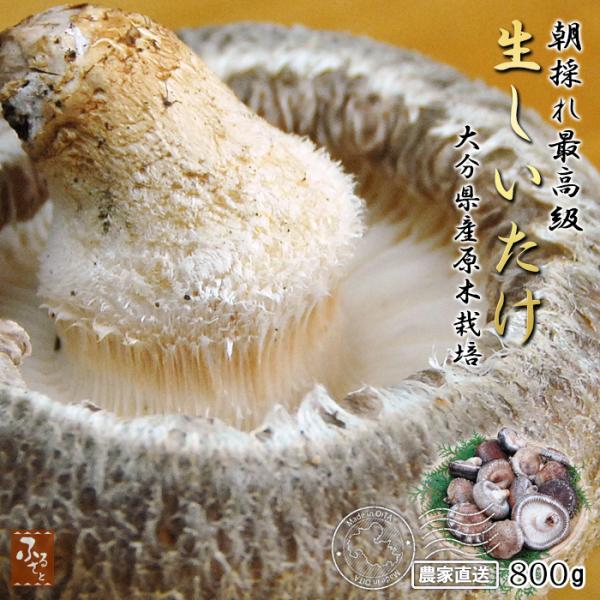 ＜色々な場面にご利用いただけます＞■贈り物お正月 御年賀 お年賀 母の日 父の日 初盆 お盆 御中元 お中元 残暑御見舞 残暑見舞い 敬老の日クリスマス お歳暮 御歳暮 御見舞 退院祝い 快気祝い 快気内祝い■祝事合格祝い 卒業祝い 進学内...