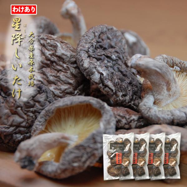 [Release date: May 10, 2022]＜色々な場面にご利用いただけます＞■贈り物お正月 御年賀 お年賀 母の日 父の日 初盆 お盆 御中元 お中元 残暑御見舞 残暑見舞い 敬老の日クリスマス お歳暮 御歳暮 御見舞 退院祝...