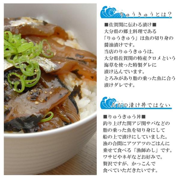 関アジ関サバ りゅうきゅうセット 2人前 4杯分 大分県 佐賀関 漁協 Jf ブランド魚 関あじ 鯵 丼 あつめし Buyee Buyee Japanese Proxy Service Buy From Japan Bot Online