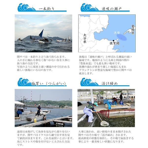 関アジ関サバ りゅうきゅうセット 2人前 4杯分 大分県 佐賀関 漁協 Jf ブランド魚 関あじ 鯵 丼 あつめし Buyee Buyee Japanese Proxy Service Buy From Japan Bot Online