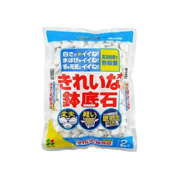 ꂢȔ 2bg / ƒ؉ x_K[f |