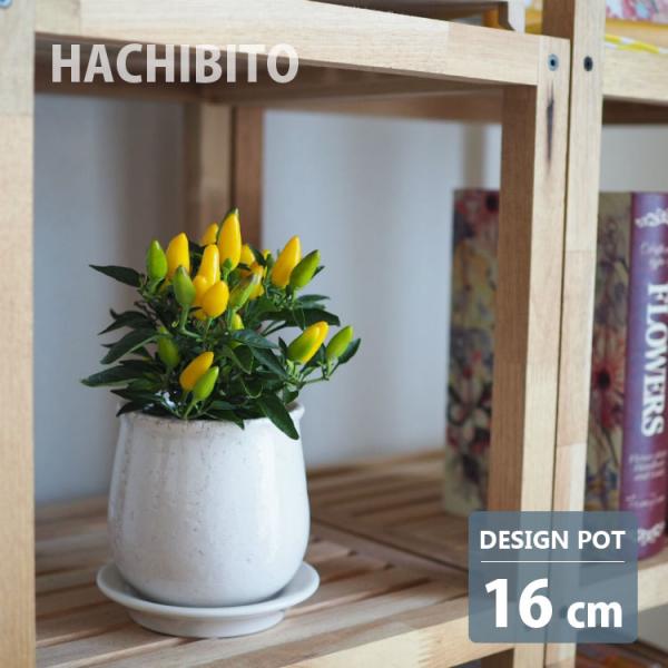 植木鉢 陶器 Mサイズ3セット 植木鉢 おしゃれ 陶器鉢 シンプルポット MM003-160 5号(16cm) 鉢底穴