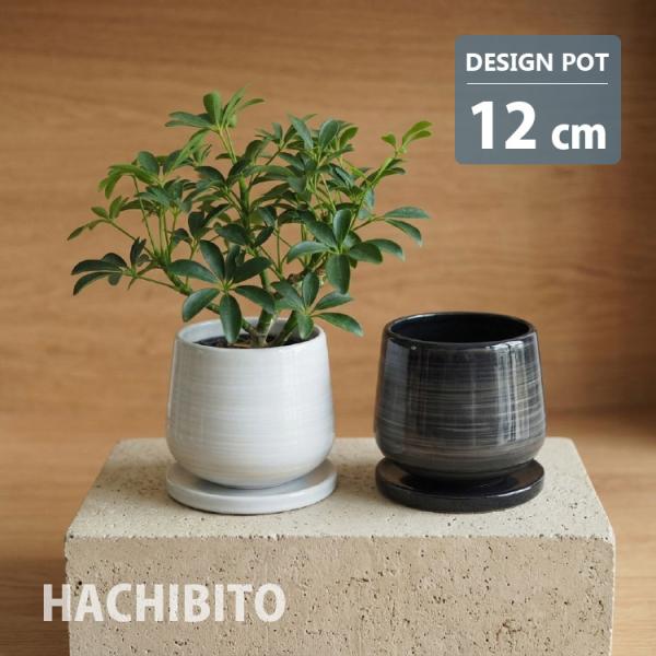 植木鉢 おしゃれ 陶器鉢 シンプルモダンポット MM022-120 4号(12cm) 鉢底穴有り 受け皿付き ホワイト ブラック 艶有り インテリア