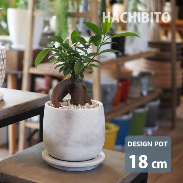 植木鉢 おしゃれ セメントラウンドポット MM059-185 6号(18.5cm) 鉢底穴有り 受け皿付き コンクリート調