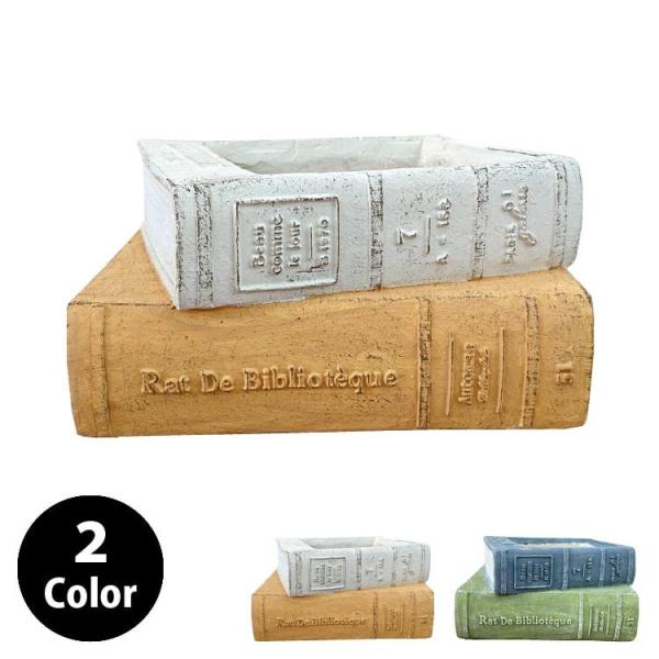 Aؔ  OXt@Co[ ubNfUC|bg UN261-260 W26cm x H13.5cm ꌊL t@Co[NC y y p^ IW O[ u[