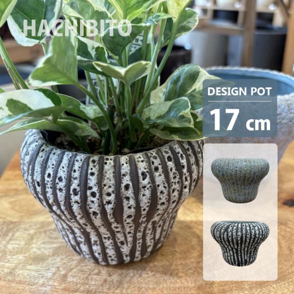 ゴツゴツとした質感がかっこいい植木鉢。しっかりと釉薬が施されて、カッチリとした陶器鉢です。アンティークなブラウンとブルーグリーンの2色をご用意しました。■ 商品仕様品番：UN417-170サイズ：5.5号・17cm鉢底穴：有り受け皿：無し材...