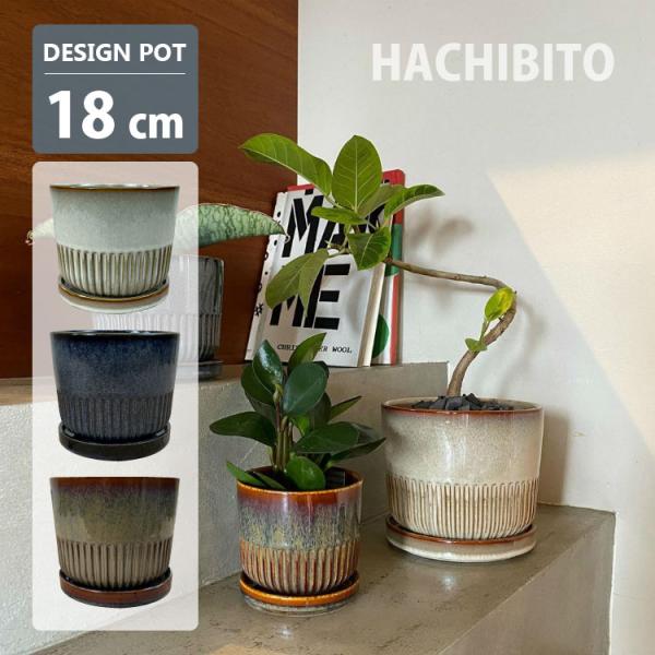 shop-hachibito_yd011-180 shop-hachibito_yd011-180