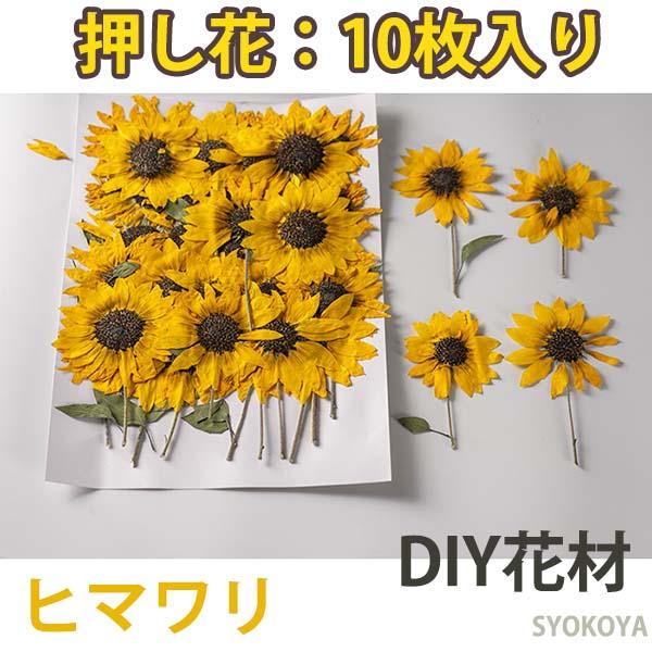 ひまわり 枝付き 天然花 押し花 ハンドメイド デコパーツ ドライ