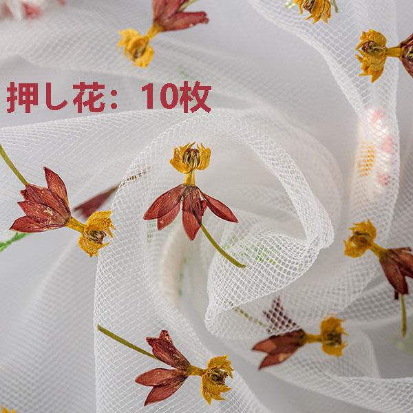 [ セット内容 ]押し花：10枚入り「記載のないアクセサリー、小物等は付属しません」[ カラー ]写真をご参照下さい天然色【素材】本物の押し花自然の草花を乾燥させ「押し花」に加工処理しました。フラワーアレンジメントやウェルカムボード、ハーバ...