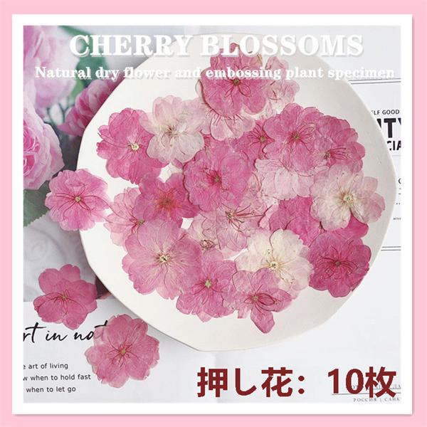 [ セット内容 ]押し花：10枚入り[ カラー ]ピンク（加工後色）/ローズ（天然原色）【素材】本物の押し花自然の草花を乾燥させ「押し花」に加工処理しました。フラワーアレンジメントやウェルカムボード、ハーバリウム、アクセサリー素材としても。...