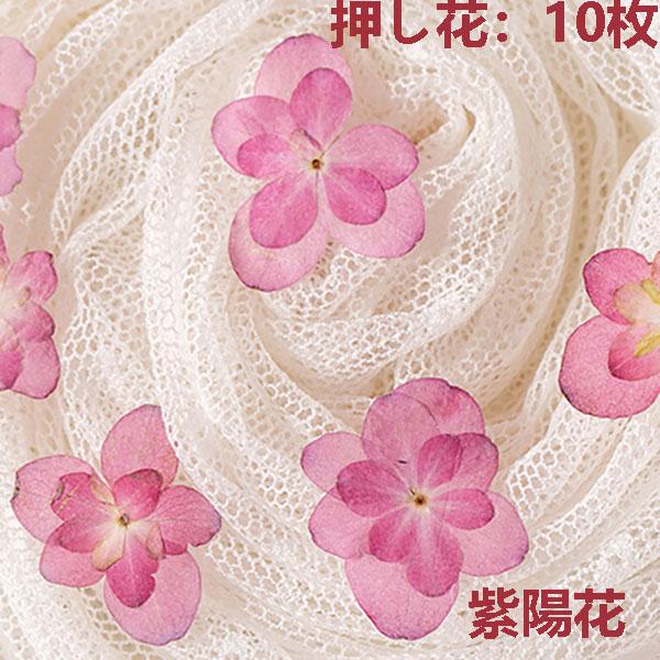 押し花 ハンドメイド 天然花 天然色 デコパーツ ドライフラワー ネイル 挨拶カード飾り レジン Uvレジン 貼り絵 小分け 少量 アジサイ あじさい 紫陽花 10枚 Fj081 Syokoya 通販 Yahoo ショッピング