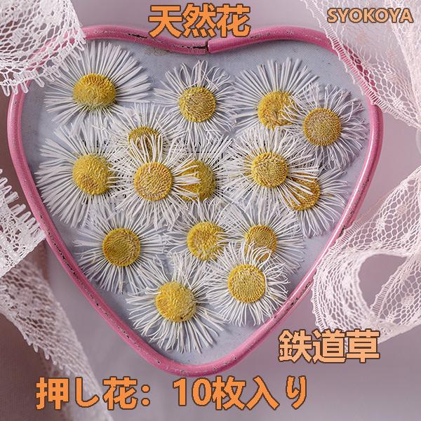 [ セット内容 ]押し花：10枚入り（天然色）「記載のないアクセサリー、小物等は付属しません」[ カラー ]写真をご参照下さい【素材】本物の押し花自然の草花を乾燥させ「押し花」に加工処理しました。フラワーアレンジメントやウェルカムボード、ハ...