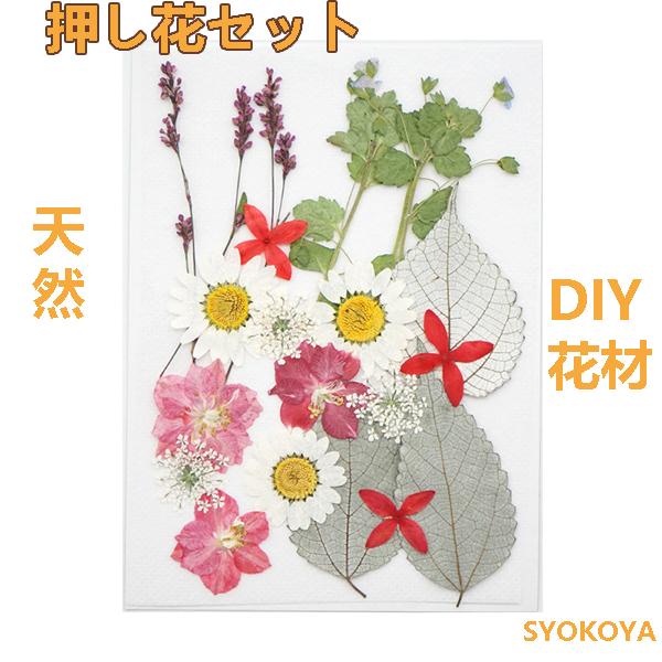 [ セット内容 ]押し花：21枚入り（天然色）「記載のないアクセサリー、小物等は付属しません」[ カラー ]写真をご参考ください【素材】本物の押し花自然の草花を乾燥させ「押し花」に加工処理しました。フラワーアレンジメントやウェルカムボード、...