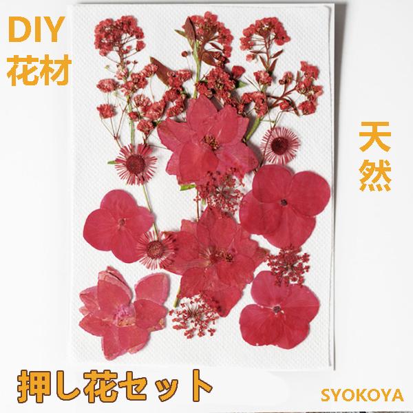 [ セット内容 ]押し花：18枚入り（天然色）「記載のないアクセサリー、小物等は付属しません」[ カラー ]写真をご参考ください（天然色）【素材】本物の押し花自然の草花を乾燥させ「押し花」に加工処理しました。フラワーアレンジメントやウェルカ...