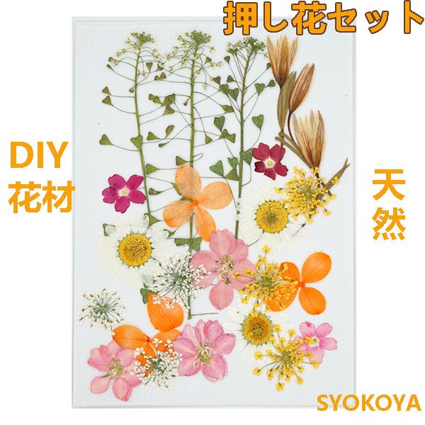 押し花セット ハンドメイド デコパーツ 押し花アート スマホケース装飾 ドライフラワーdiy 化粧 乾燥シート 手芸 パーツ ブリザードフラワー 花材 レジン 貼り絵 Fj6 Syokoya 通販 Yahoo ショッピング
