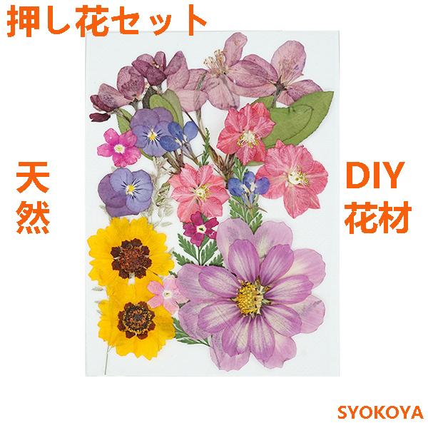 押し花セット ハンドメイド デコパーツ 押し花アート スマホケース装飾 ドライフラワーdiy 化粧 乾燥シート 手芸 パーツ ブリザードフラワー 花材 レジン 貼り絵 Fj210 Syokoya 通販 Yahoo ショッピング