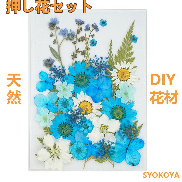 押し花セット ハンドメイド デコパーツ 押し花アート スマホケース装飾 ドライフラワーdiy 化粧 乾燥シート 手芸 パーツ ブリザードフラワー 花材 レジン 貼り絵 Fj218 Syokoya 通販 Yahoo ショッピング