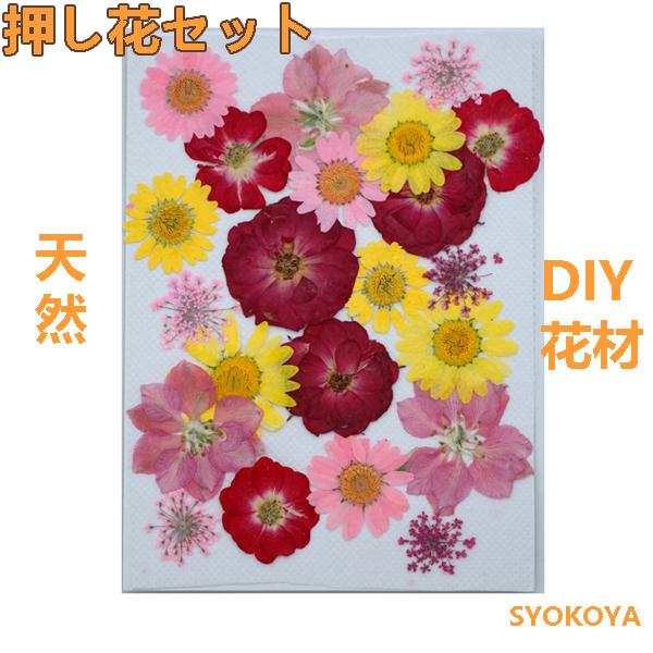 押し花セット ハンドメイド デコパーツ 押し花アート スマホケース装飾 ドライフラワーdiy 化粧 乾燥シート 手芸 パーツ ブリザードフラワー 花材 レジン 貼り絵 Fj222 Syokoya 通販 Yahoo ショッピング