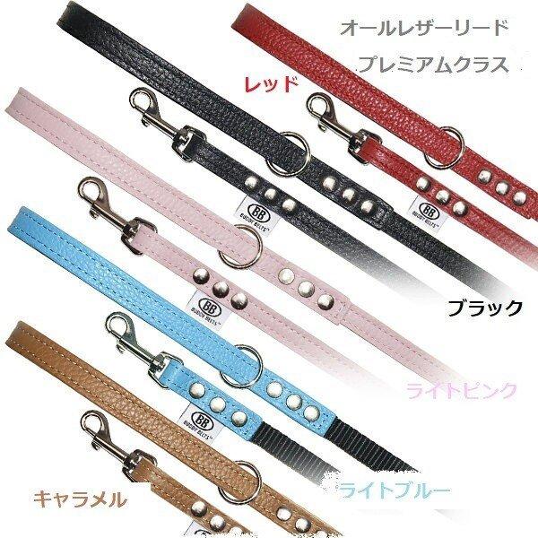 BB オールレザーSリード【プレミアム】 Sサイズ BUDDY BELT BUDDYBELT