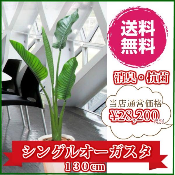 観葉植物 造花 リビング 消臭 抗菌 UDD触媒 シングルオーガスタ 観葉植物 造花 リビング 消臭 抗菌 UDD触媒 シングルオーガスタ