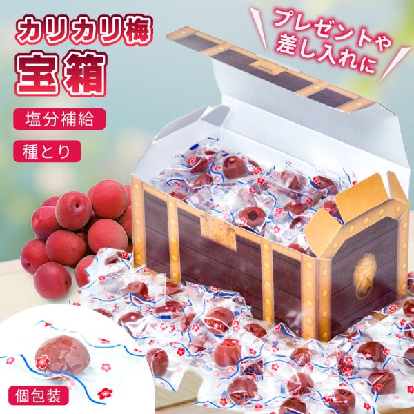 種とり カリカリ梅 420g 梅 おつまみ ギフト 詰め合わせ おやつ ギフトセット 大容量 プレゼント 宝箱 お漬物 イベント 子供