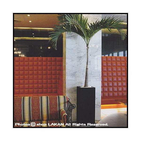 Blヘリッチh100cm 縦長型グラスファイバー樹脂製植木鉢 エッシュバッハ社 Eb Buyee Buyee 提供一站式最全面最專業現地yahoo Japan拍賣代bid代拍代購服務 Bot Online