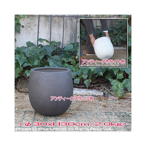 テラニアス バルーンφ30cm グラスファイバー製 人気植木鉢 / エッシュバッハ社 EB-TB3030